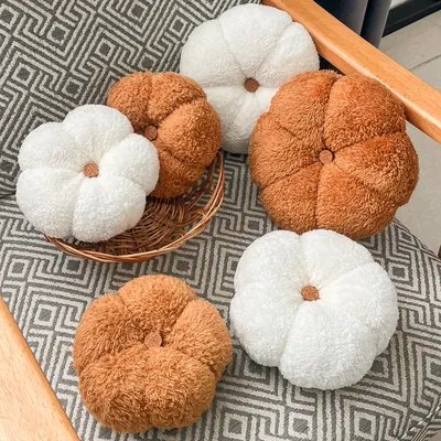 کدو پولیش وارداتی